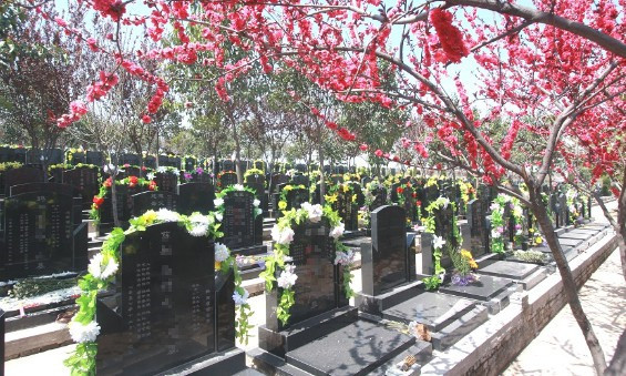 西安壽陽山墓園地址在哪里,，公交車有幾路-金南山綠色墓園