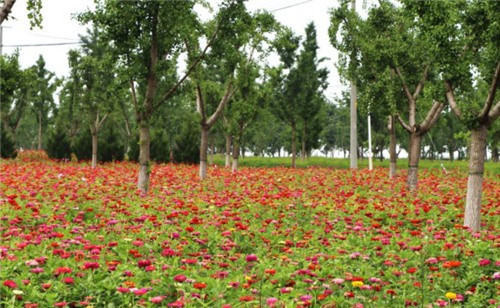 西安壽陽(yáng)山公墓怎么樣,？附價(jià)格表-霸陵墓園