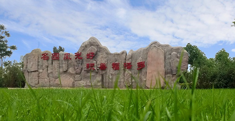 西安白鹿原墓園,，西安白鹿原墓園的歷史與特色