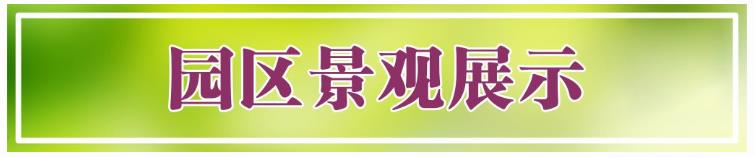 西安鯨魚溝壽陽山圖片,，壽陽山公墓